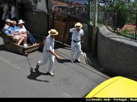 Portugal - Madere - Funchal - 019